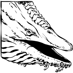 Shastasaurus