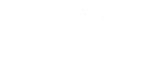 Nova Galactic