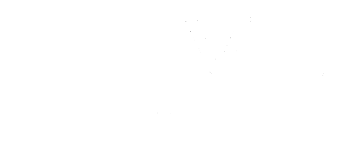 Nova Galactic